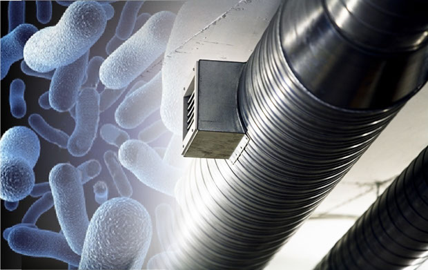 control legionelosis Málaga.