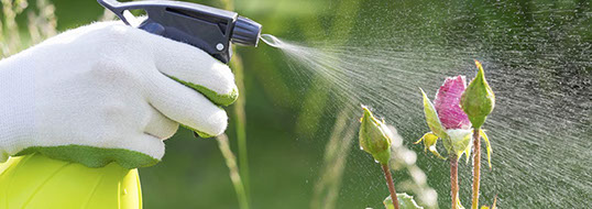 Empresa Limpiezas Málaga