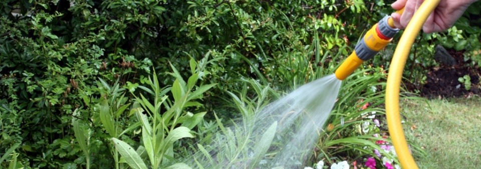 Mantenimiento jardinería Málaga