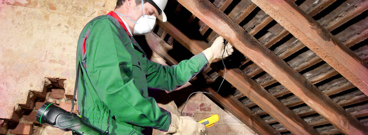 Empresa de tratamiento de madera Málaga.