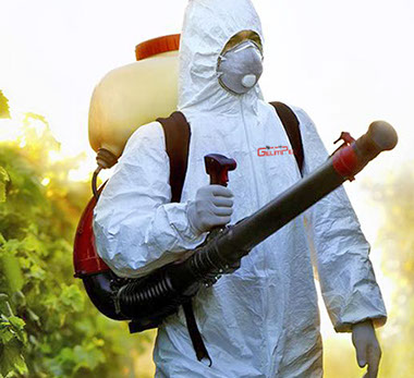 Desinsectación hostelería en Málaga