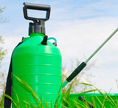 Gelimser experto en legionela Málaga