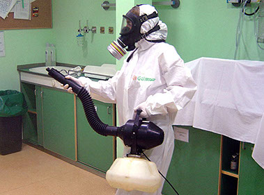 Desinsectación Málaga 