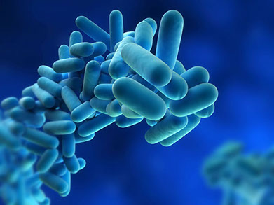 Contro de legionela malaga