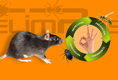 Control de Plagas Málaga